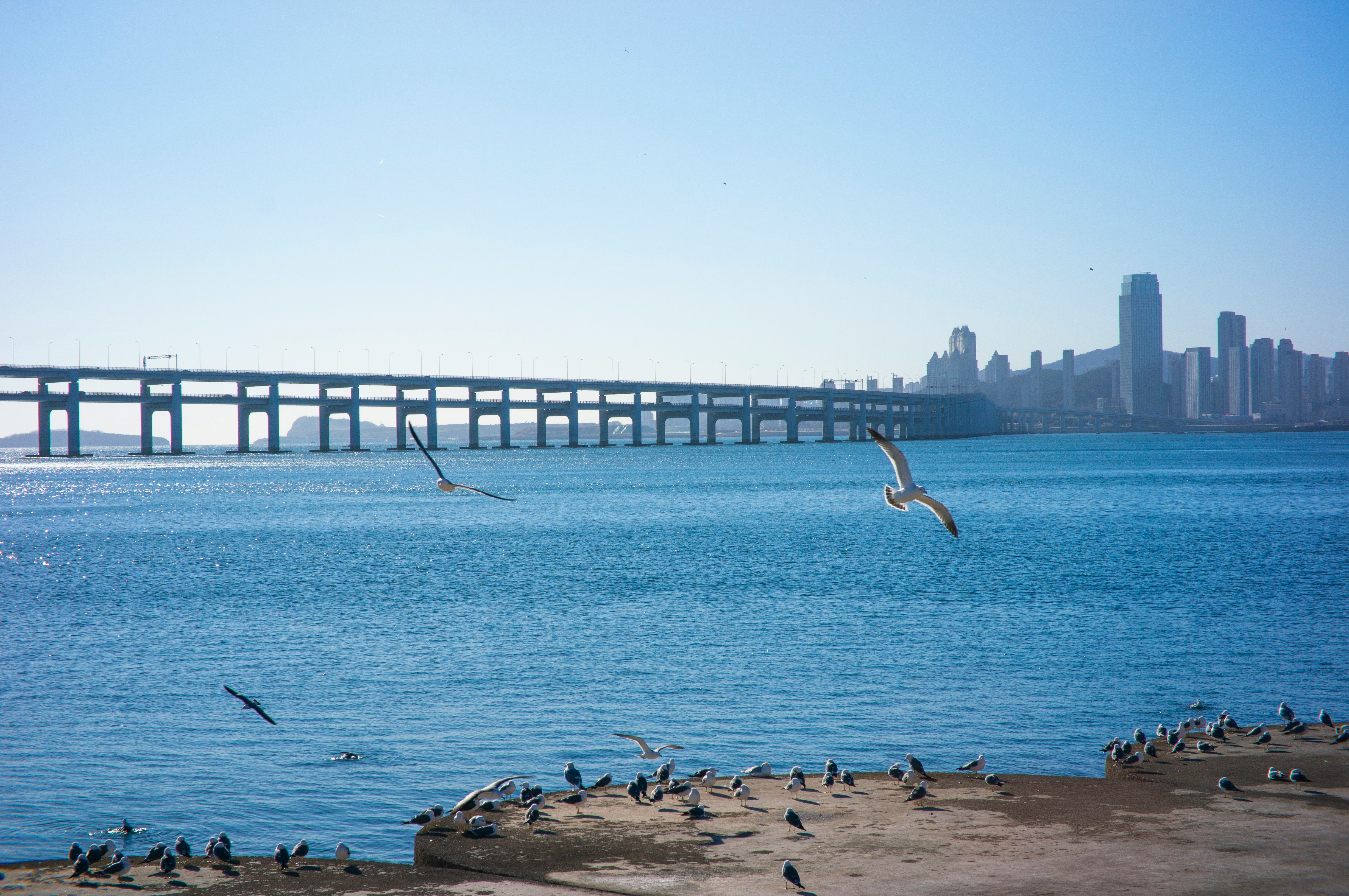 Инкоу - Термальные Источники «Баюйцюань» 6