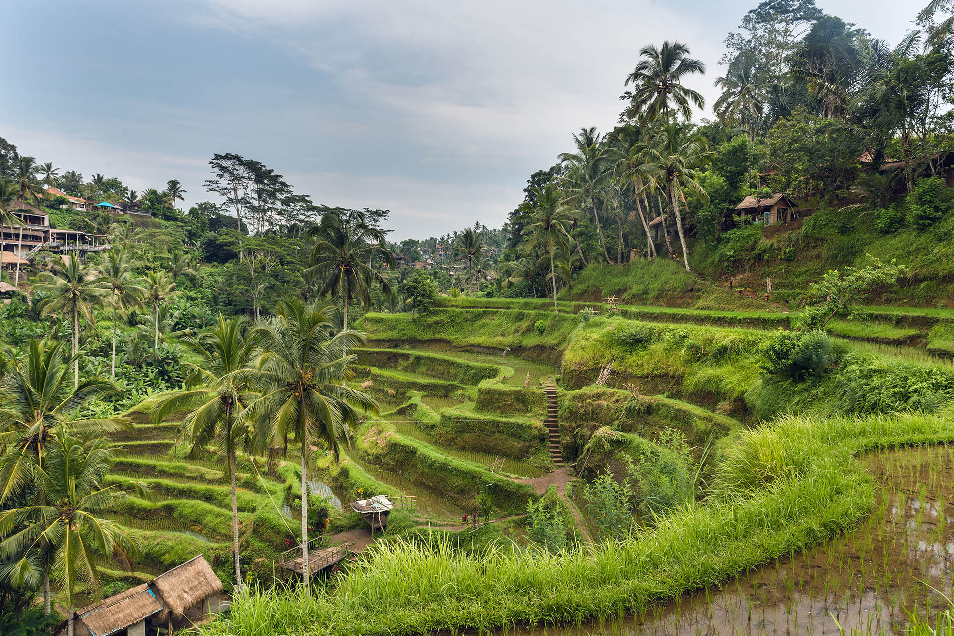 о.Бали - Перелет через Шанхай 3