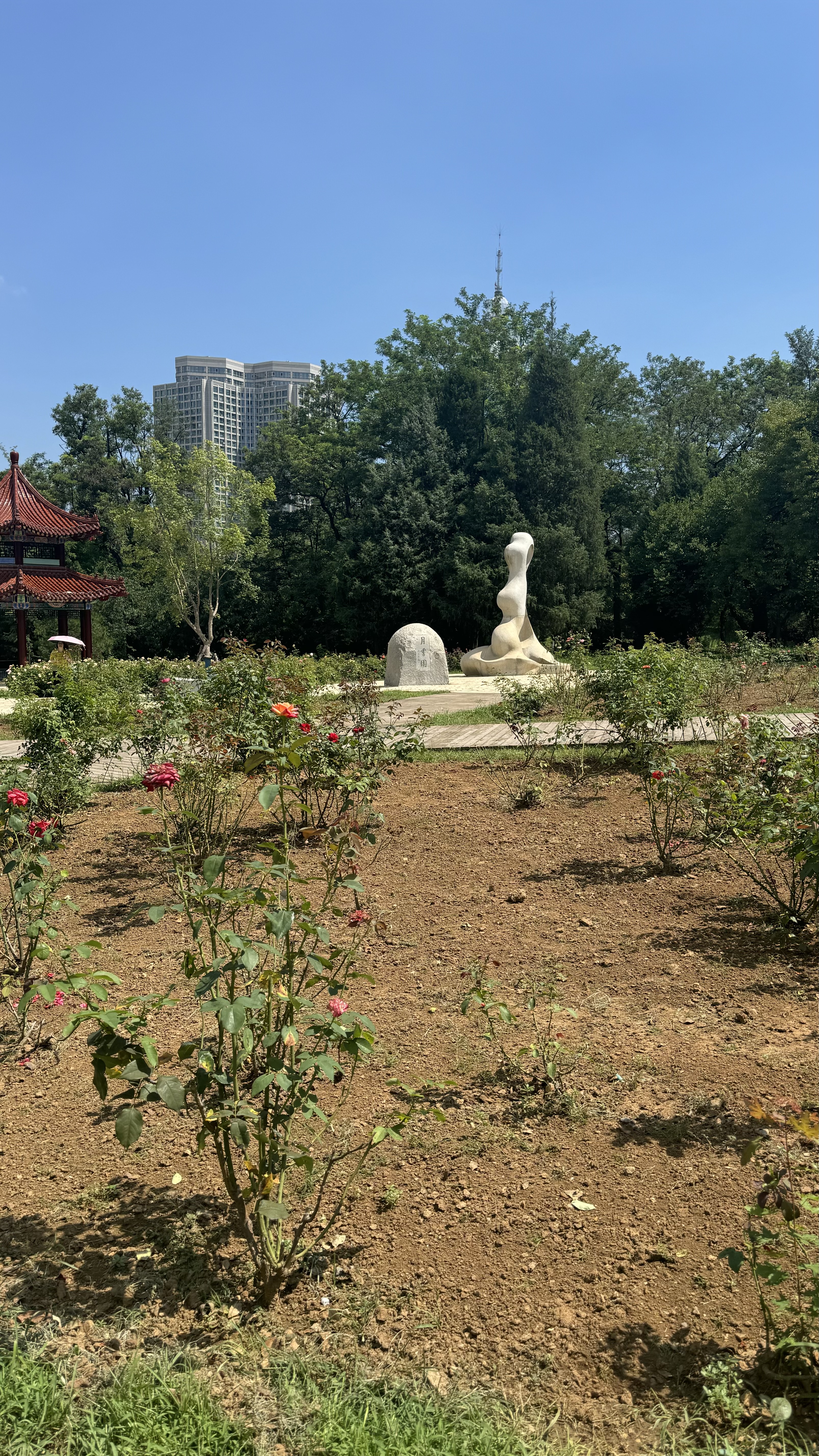 Далянь - Прямой чартер из Хабаровска 6