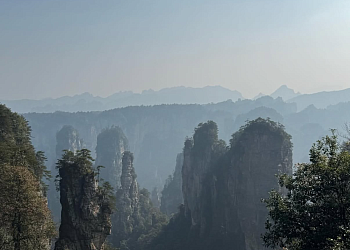 Горы «Аватара» - Прямой рейс